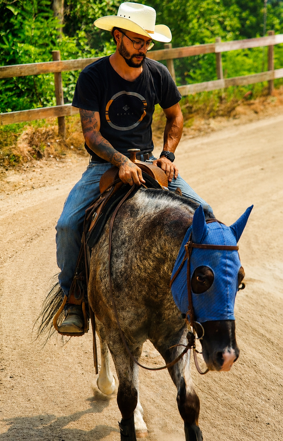 Istruttore della Scuderia Blueberry su cavallo grigio che passeggia