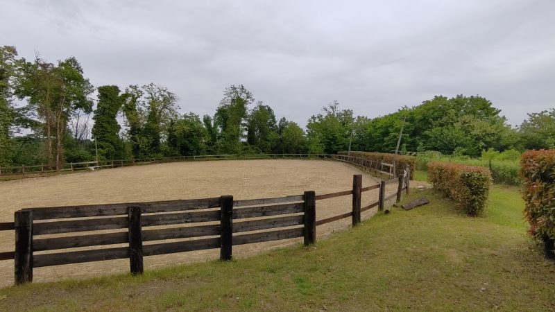 View of Tenuta Blueberry 1