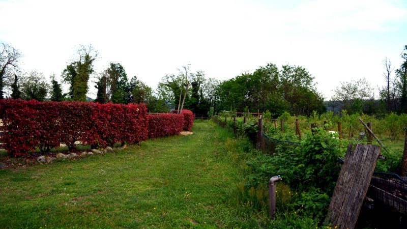 View of Tenuta Blueberry 11