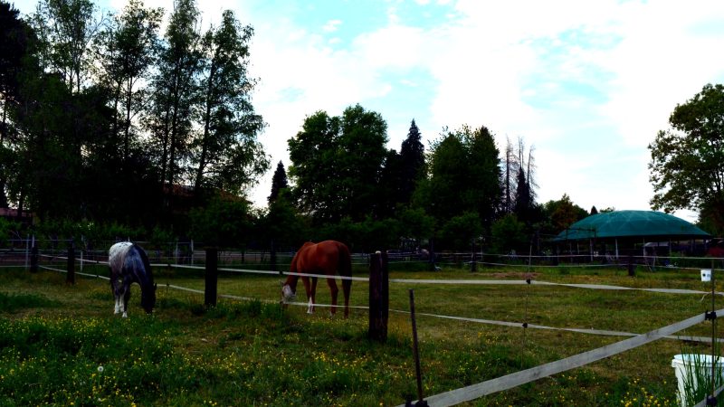 View of Tenuta Blueberry 16