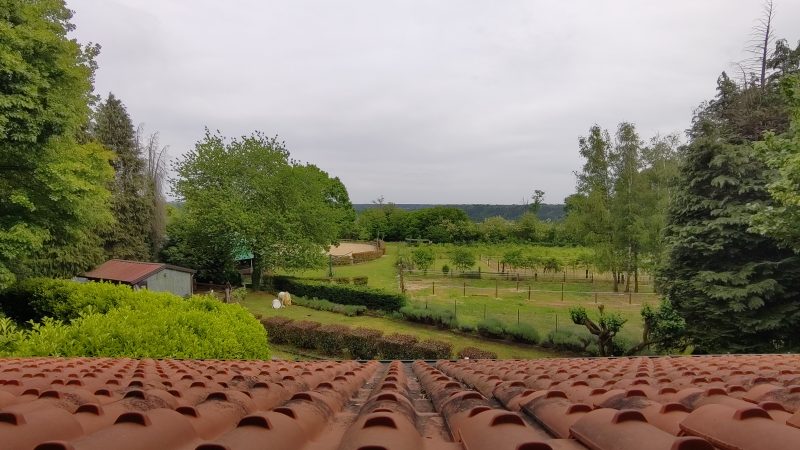 View of Tenuta Blueberry 4