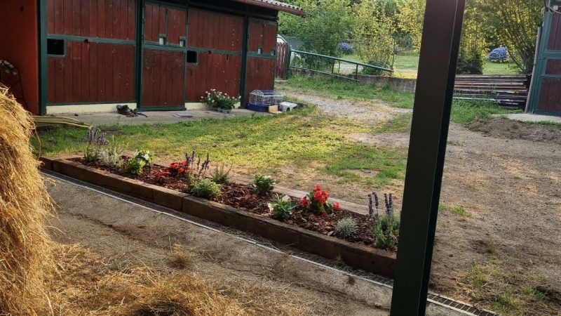 View of Tenuta Blueberry 5