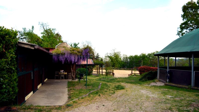 View of Tenuta Blueberry 7