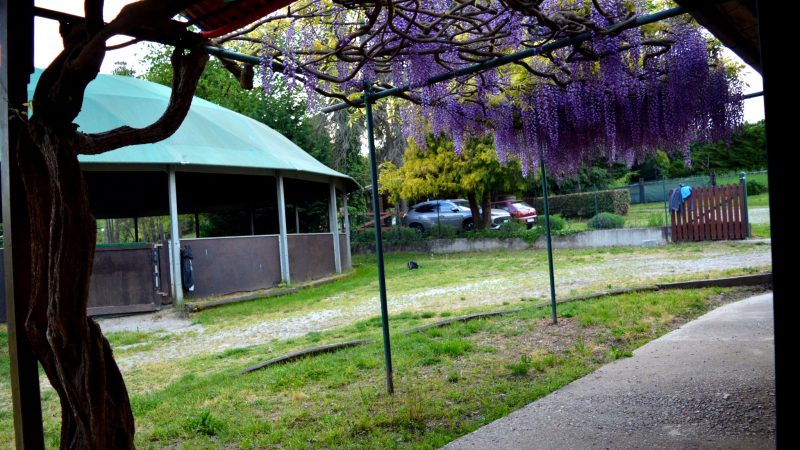 View of Tenuta Blueberry 9